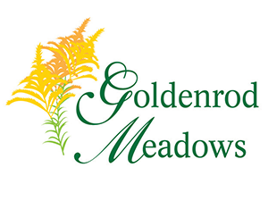 Goldenrod Meadows